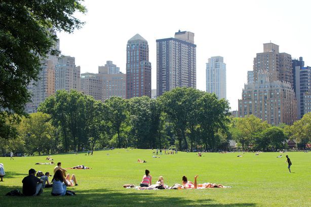 Những lỗi phổ biến khiến visa 485 dễ bị từ chối